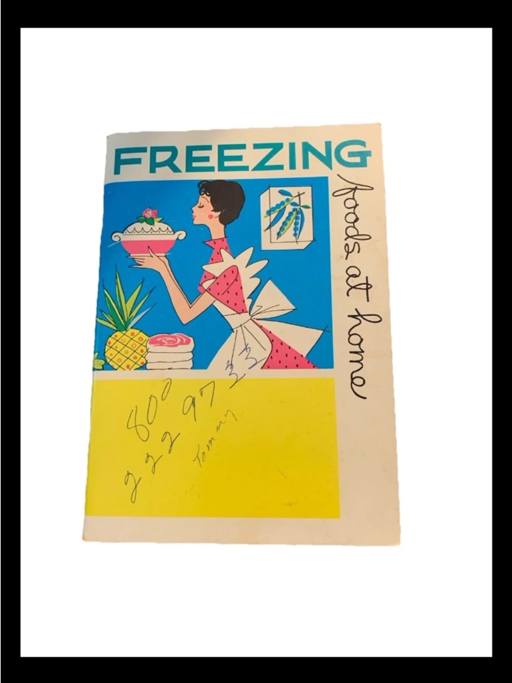 Vintage 1973 Freezing Foods at Home Cookbook - Blue, Yellow, Pink, White